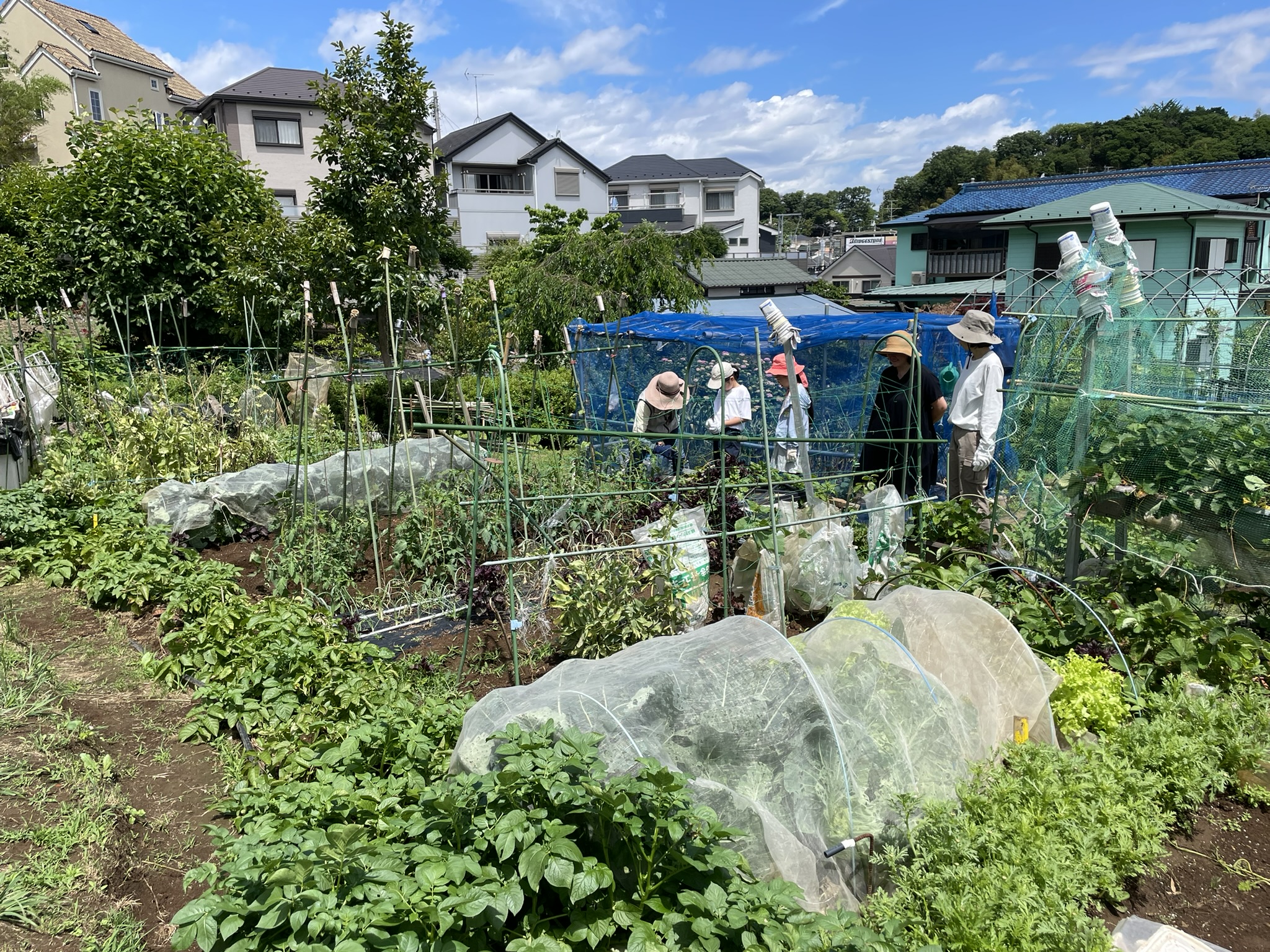 フリースクールを始めます