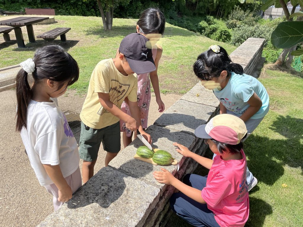 久しぶりの畑活動！