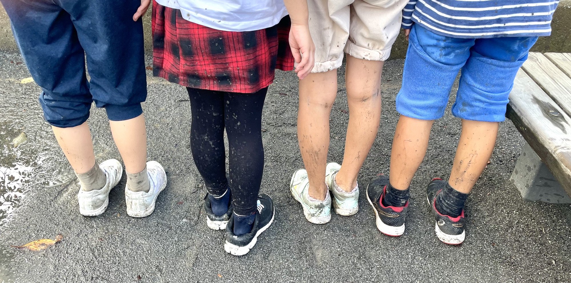 おいしいパン屋さん、リベンジ