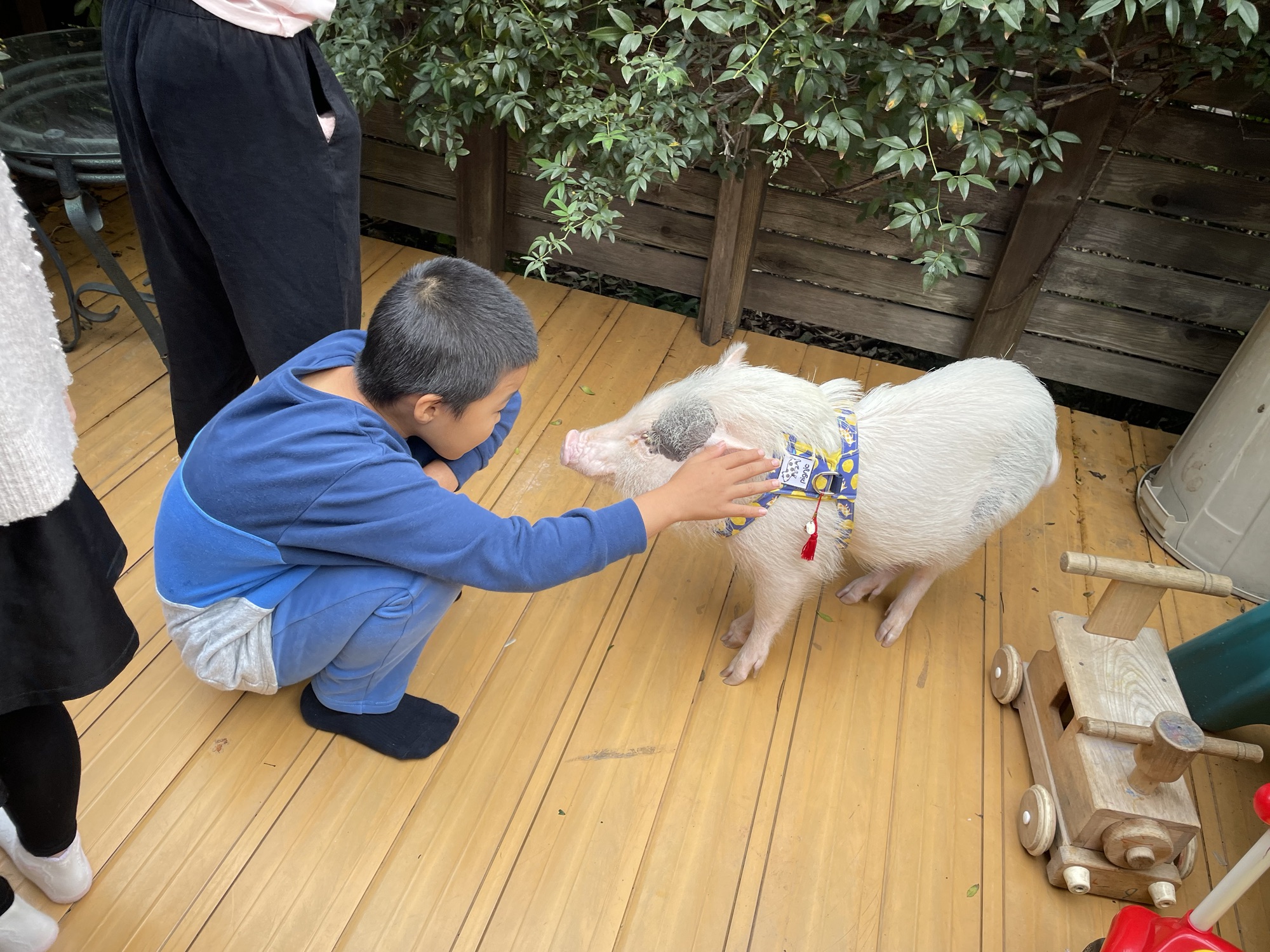 どんぐりコロコロ、ゴミ拾い、子豚に出会って…