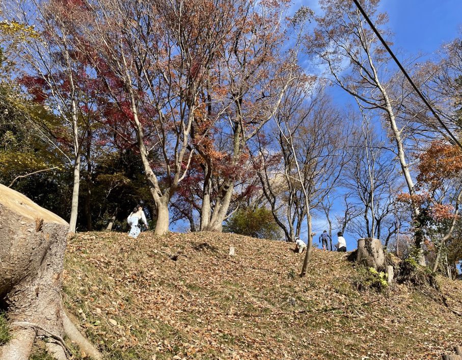 大根、カラス、シークレットサンタ