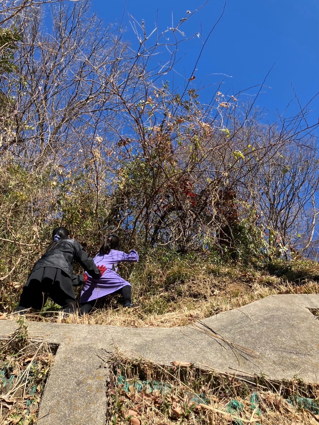 赤ちゃん・ベーグル・ぐるぐる公園