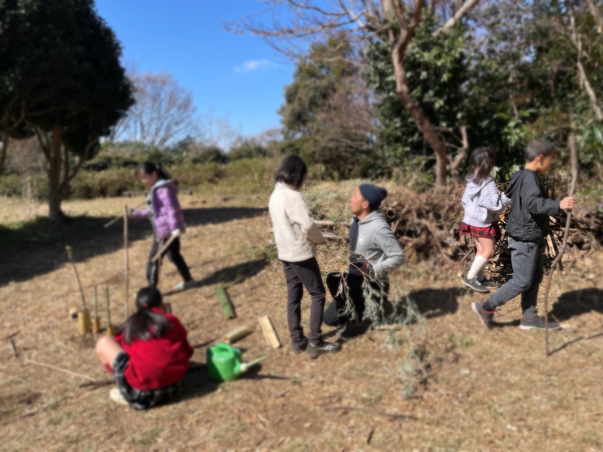 森 x 余白 → 遊びの創造