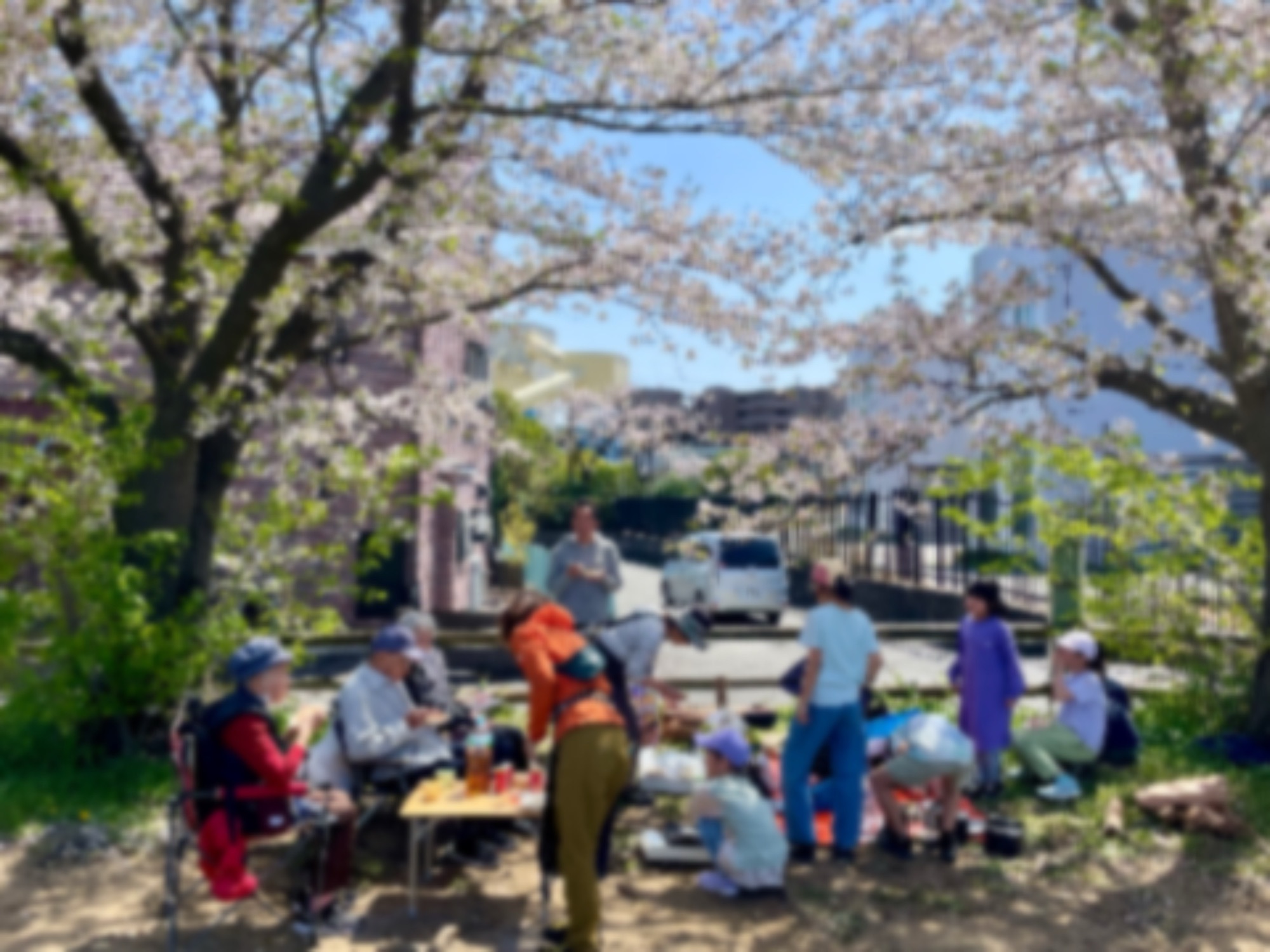 ミエルらしいお花見